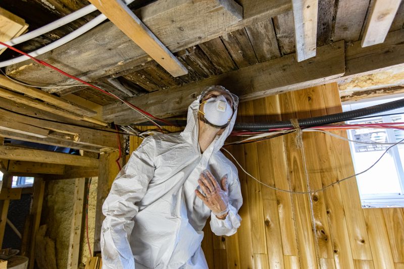 Understanding Mold Testing: What You Need to Know