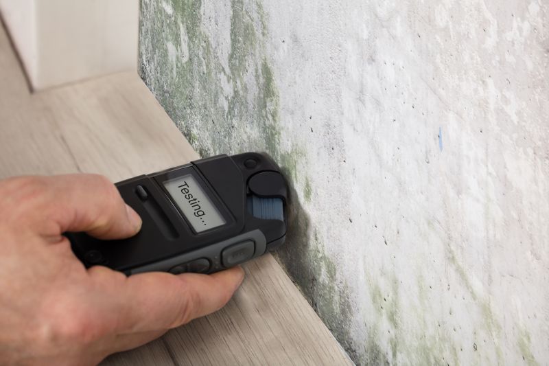 Mold Testing Services & Promotions