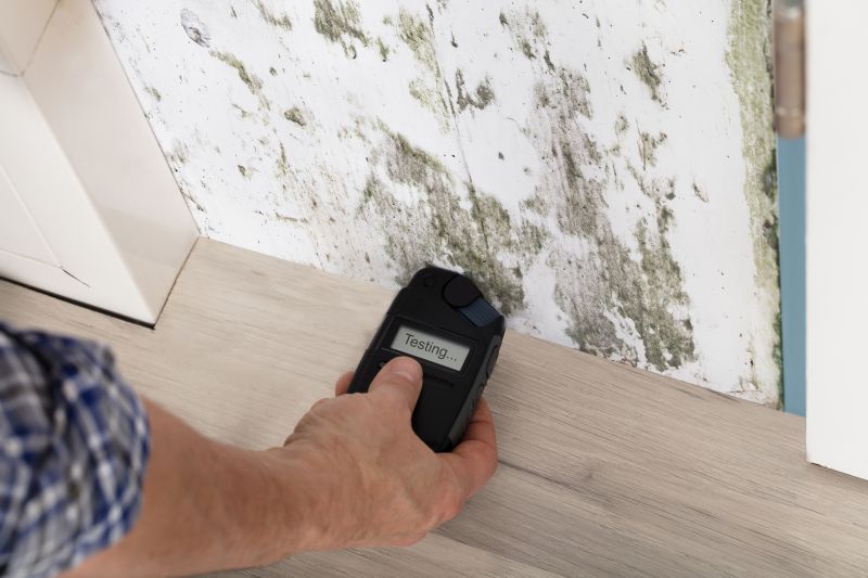 Understanding Mold Testing Costs — Cost of Mold Testing