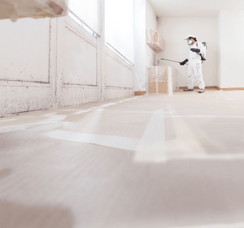 Mold Remediation Process