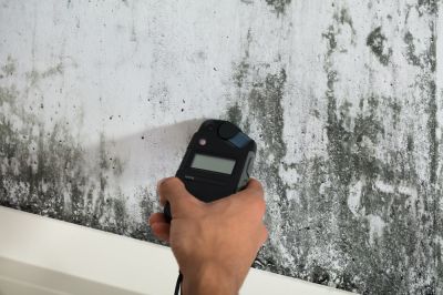 Determine the Presence of Mold!