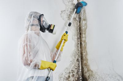 Develop a Plan for Mold Removal!